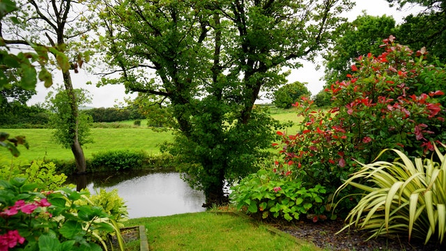 PLACE A GARDEN FENCE? CHECK THESE TIPS FIRST